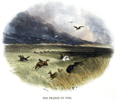 Prairie in brand door Frederick (attr. to) Barnard