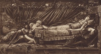 De Schone Slaapster door after Edward Coley Burne Jones
