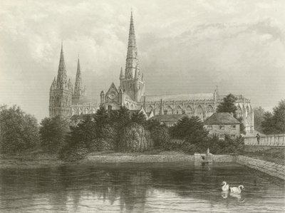 Kathedraal van Lichfield door Henry after Warren