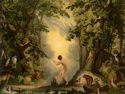 De Schepping van Adam door Johann Elias Ridinger or Riedinger