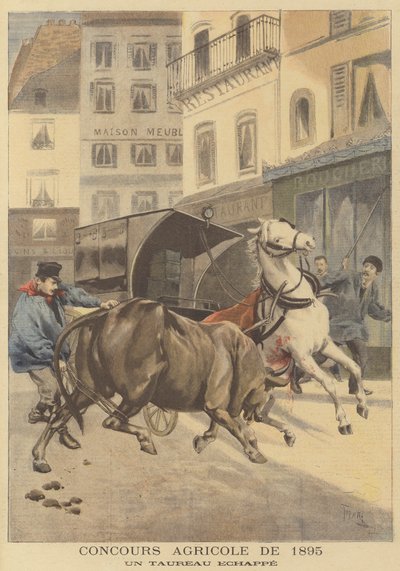 Landbouwtentoonstelling van 1895. Een ontsnapte stier door after Oswaldo Tofani