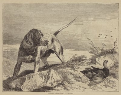 Gewonde Korhoen door after Richard Ansdell