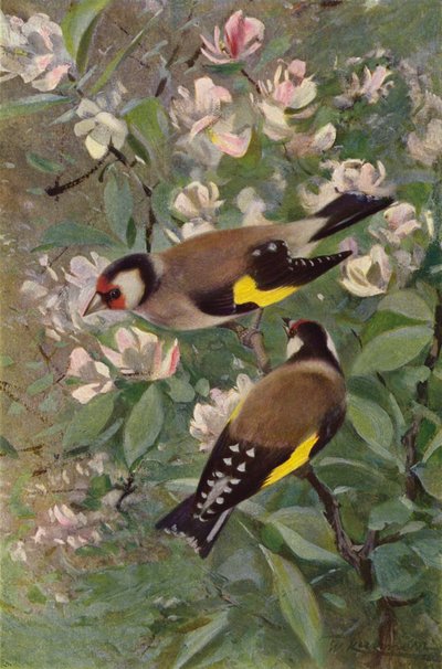 Putter door after Wilhelm Kuhnert