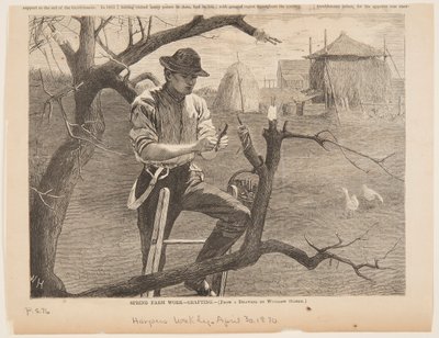 Lente Boerderijwerk – Enten door after Winslow Homer
