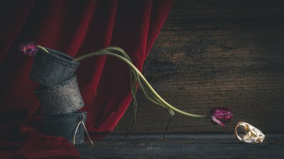 Donkere bloemige schedel door alan shapiro