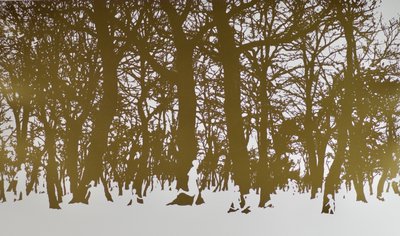 Bomen van het leven door angus hampel