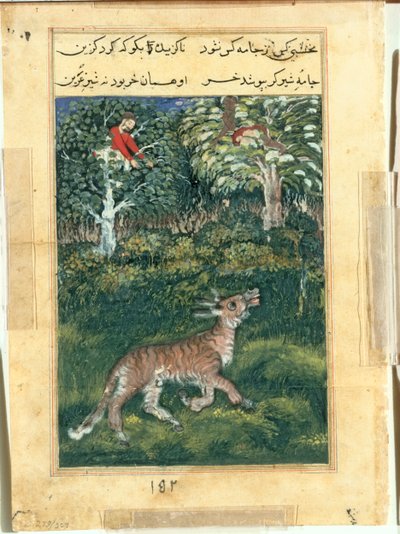 De ezel, in een tijgervel, onthult zijn identiteit door luid te balken, uit een Tuti-nama (Verhalen van een Papegaai): Eenendertigste Nacht door attributed to Basavana