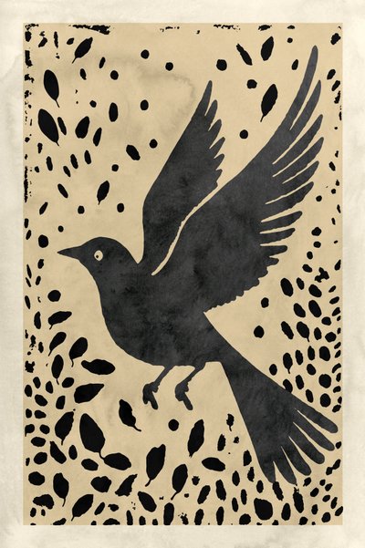 Zwarte vogel in vlucht door cartissi