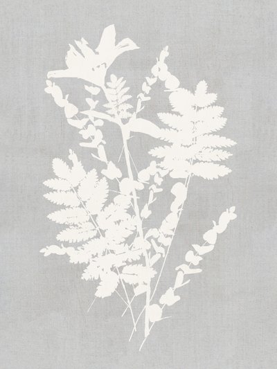 Studie naar botanische silhouetten door cartissi