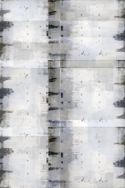 Verweerd monochroom raster door cartissi