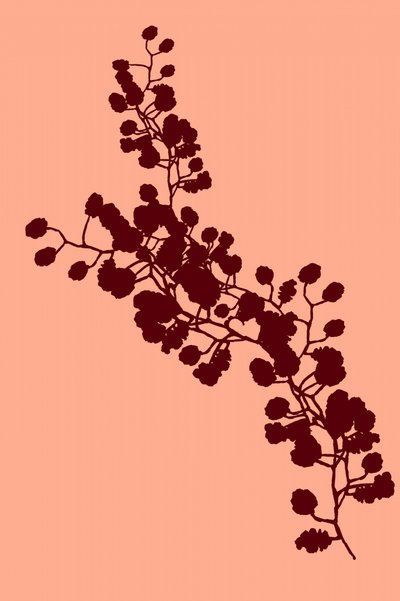 Elegant bloemensilhouet door cartissi