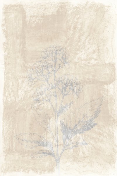 Vervaagde botanische schets door cartissi