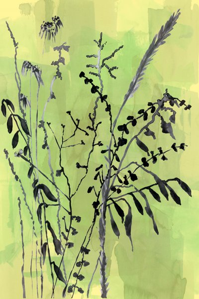 Groene botanische silhouetten door cartissi