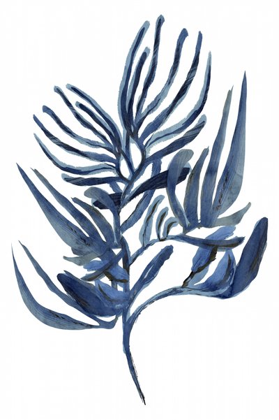 Indigo: een botanische studie door cartissi