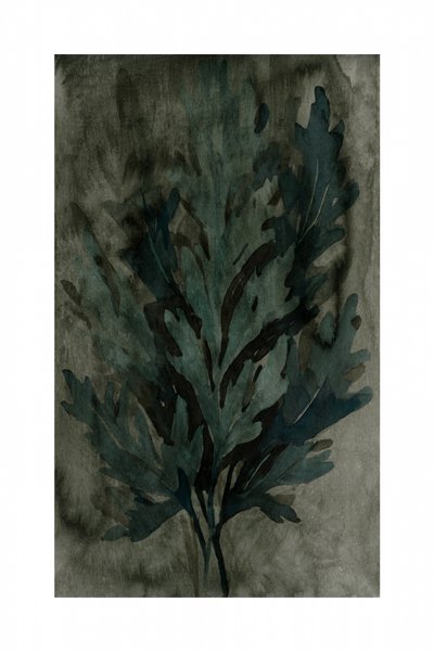 Moody Botanische bladeren door cartissi