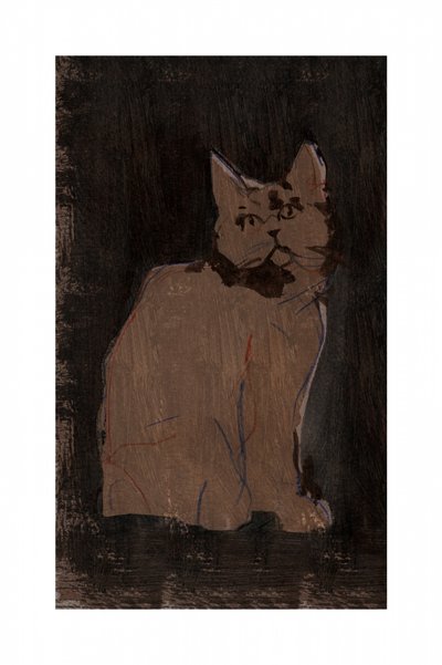 Portret van een humeurige kat door cartissi
