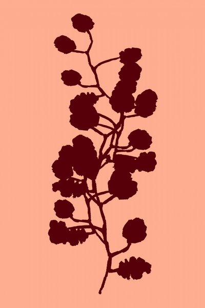Botanisch silhouet van een perzik door cartissi
