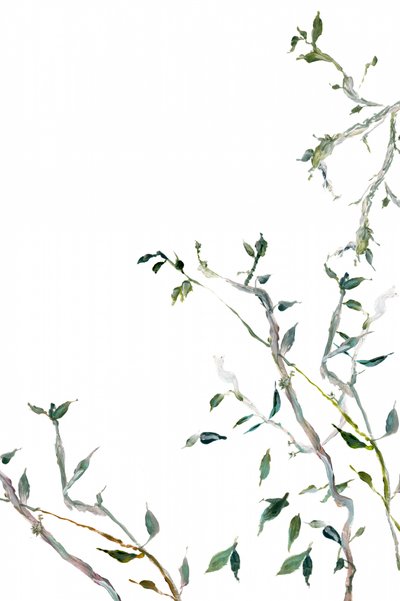 Aquarel groene bladeren door cartissi