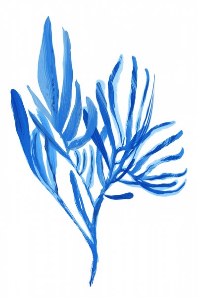 Waterige blauwe plantvormen door cartissi