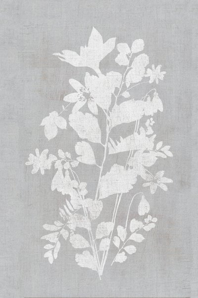 Wit bloemensilhouet door cartissi