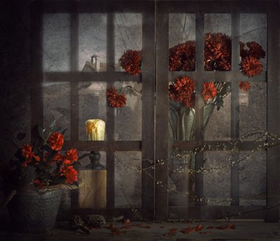 Bloemen in een donker raam door chenyi wang