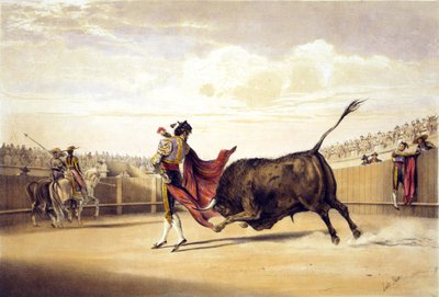 Stier die aanvalt terwijl matador met de cape speelt door lake Price