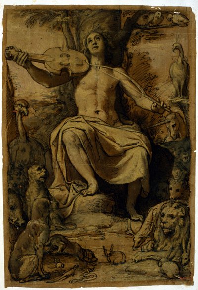 Orpheus betovert de dieren met de muziek van een viool. Tekening door Federico Zuccari (1542 - 1609). door or Zuccaro Federico Zuccari
