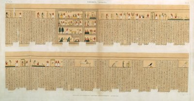 Illustraties van een Pampus-manuscript met hiërogliefen, Hypogees, Thebe, plaat 75 uit Vol II van `Descriptions of Egypt`, gegraveerd door Willemin, pub. 1822 (aquatint) door French School