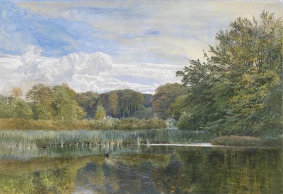 The Mill Pond, Evelyn Woods, 1860 door George Vicat Cole