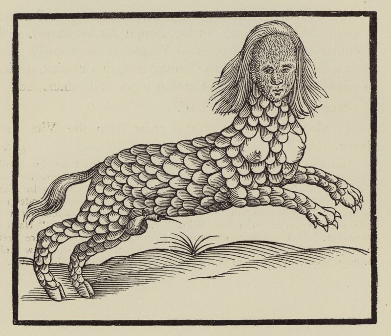Vierpotig wezen met een lichaam bedekt met schubben (gravure) door (after) English School