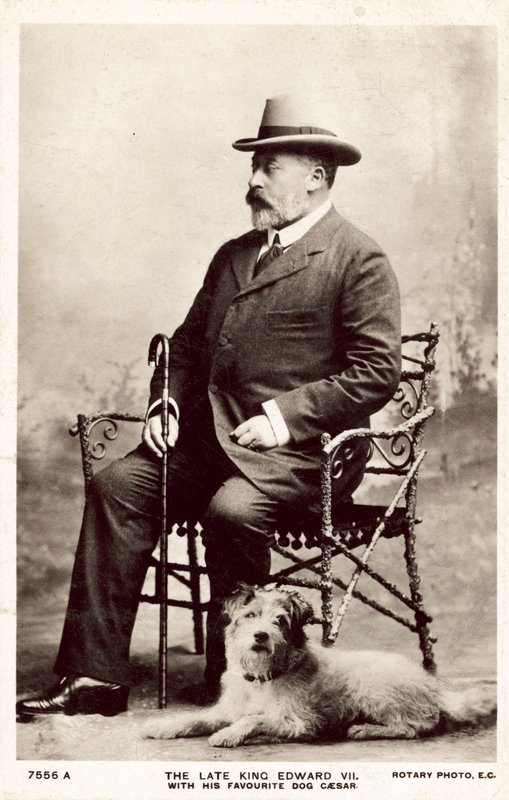 De overleden Koning Edward VII, met zijn favoriete hond Caesar door (after) English photographer