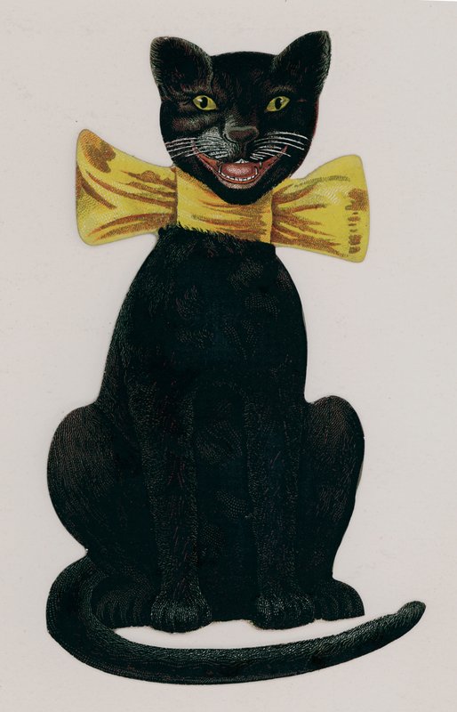 Zwarte kat met een gele strik door American School