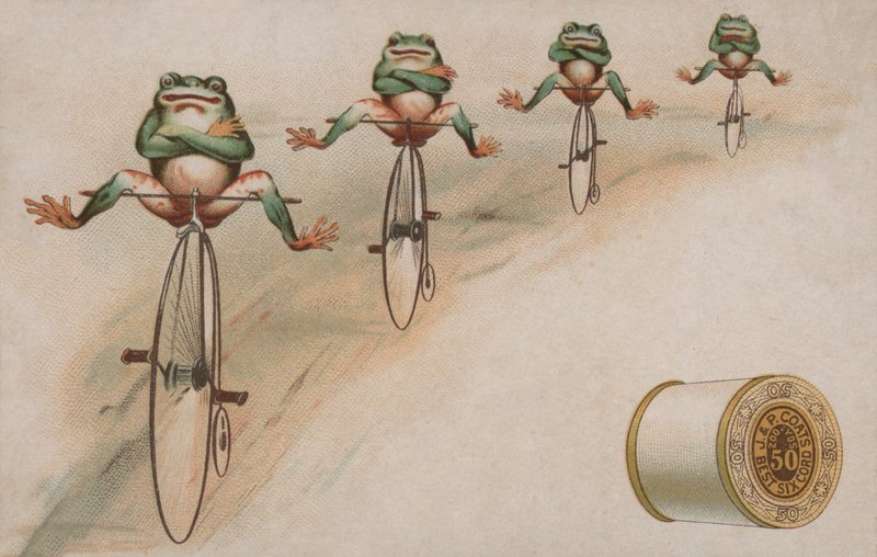 Kikkers die trucs uitvoeren op hoge bi