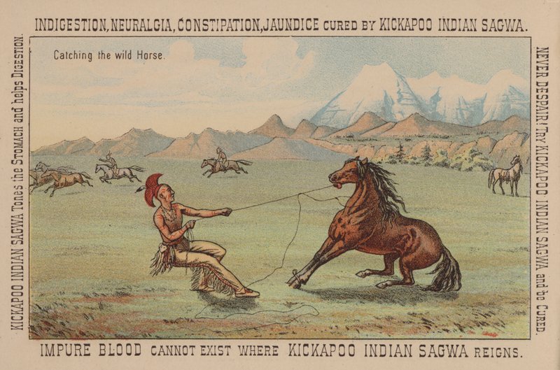 Inheemse Amerikaan die een wild paard vangt door American School