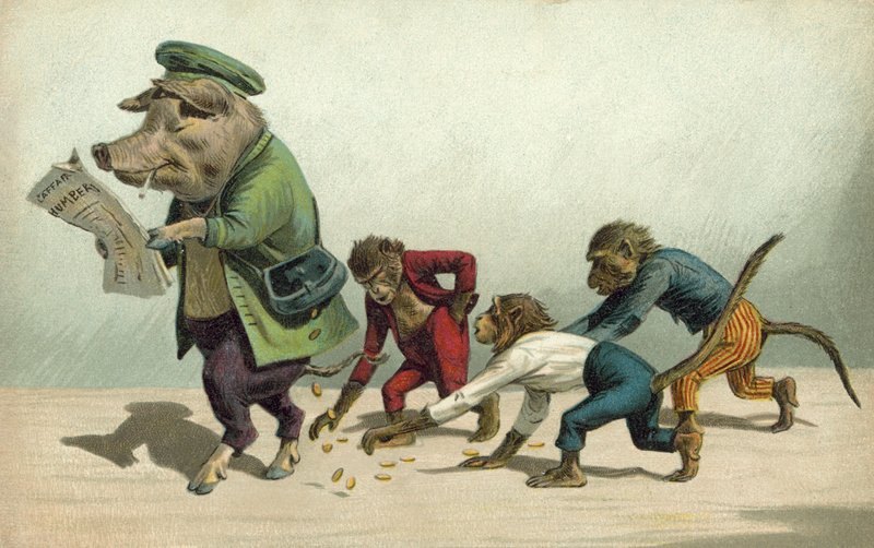 Apen verzamelen munten die door een varken zijn laten vallen door French Photographer