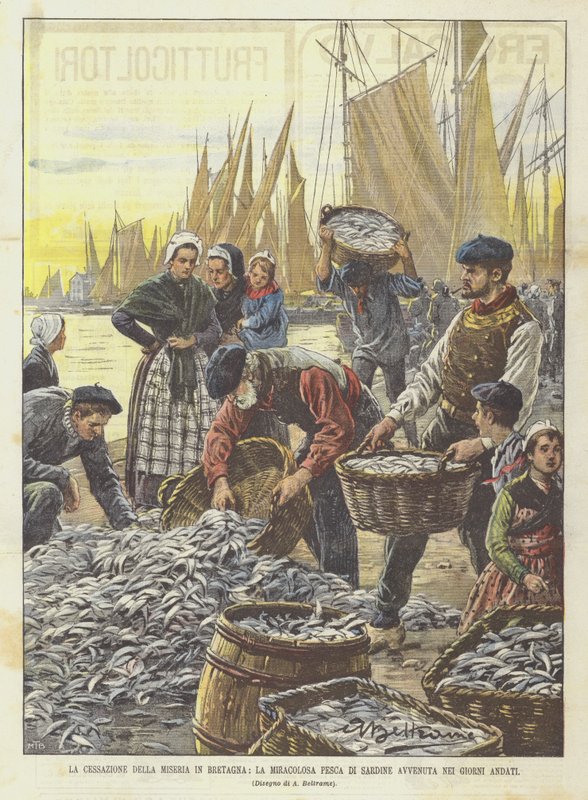 Het einde van de ellende in Bretagne, de wonderbaarlijke sardinevangst van de afgelopen dagen door Achille Beltrame