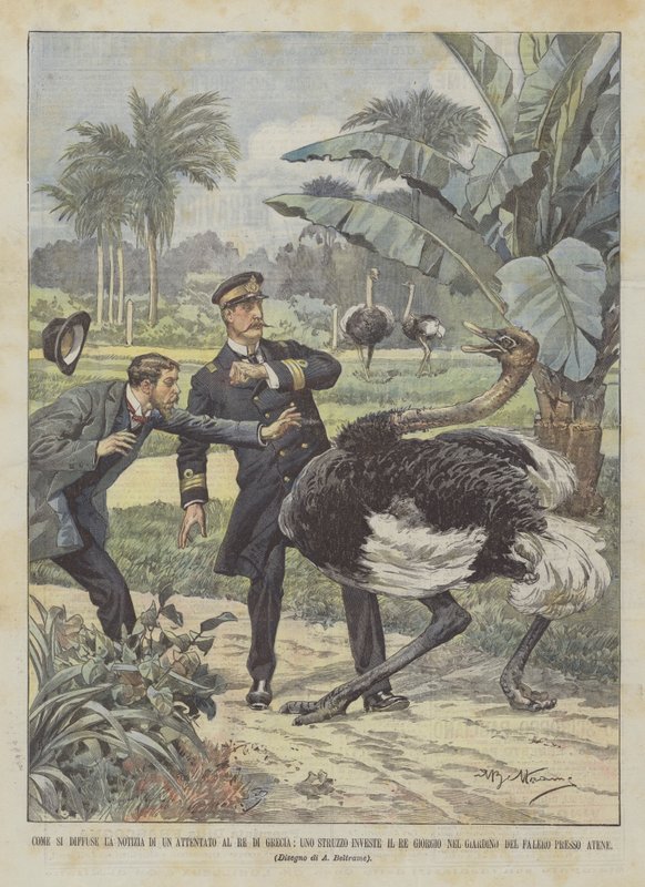 Hoe het nieuws van een aanslag op de koning van Griekenland zich verspreidde, een struisvogel rent koning George omver door Achille Beltrame