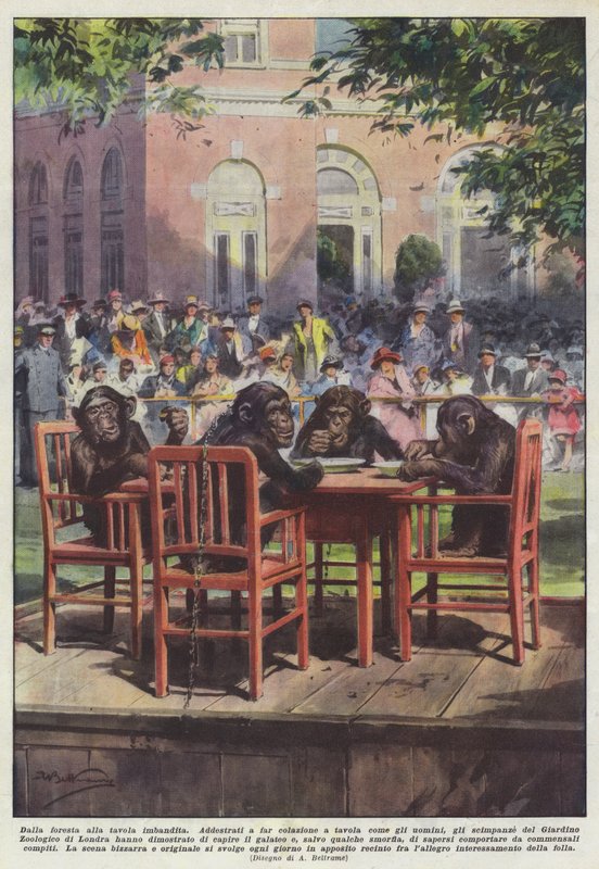 Van het bos naar de gedekte tafel door Achille Beltrame
