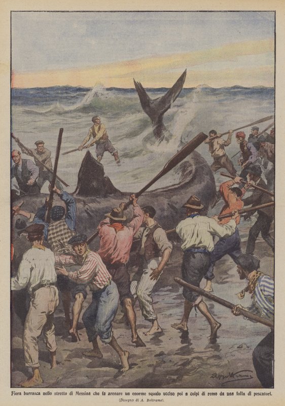 Hevige storm in de Straat van Messina die een enorme haai aan land bracht, later gedood met roeispanen door Achille Beltrame