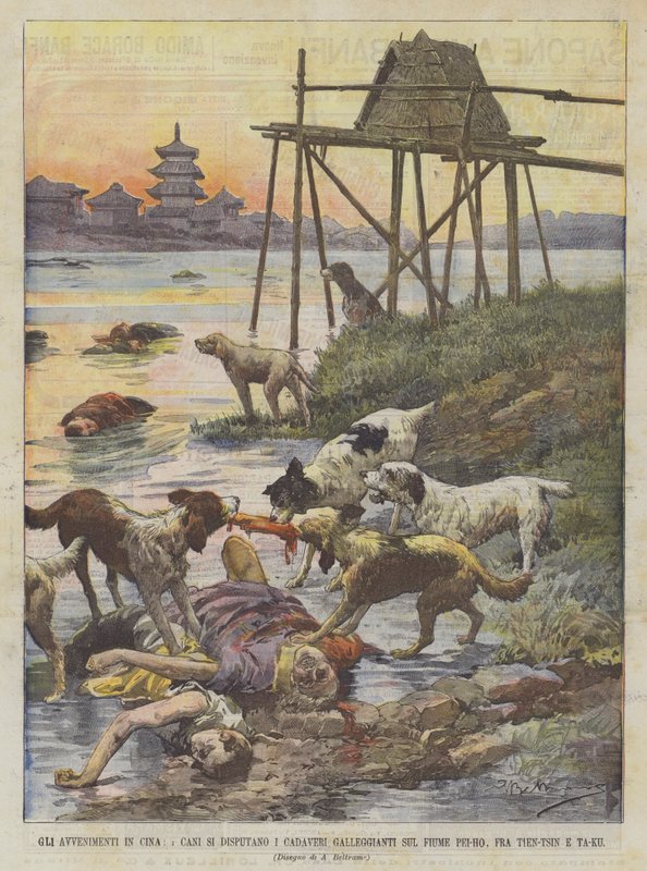 De Gebeurtenissen in China, Honden Strijden om de Drijvende Lijken op de Pei-Ho Rivier, Tussen Tien-Tsin en Ta-Ku door Achille Beltrame
