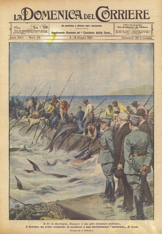 De koning in Sardinië door Achille Beltrame