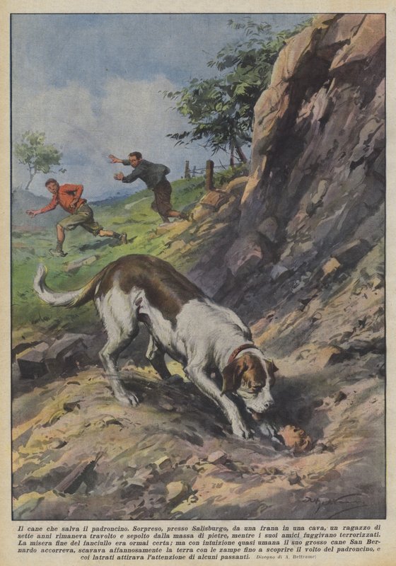 De hond die zijn baasje redt door Achille Beltrame