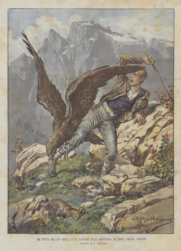 Het gevecht tussen een adelaar en een herder op de berg Zerie bij Triëst door Achille Beltrame