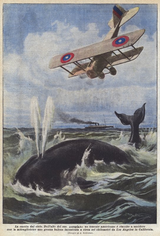De jacht vanuit de lucht door Achille Beltrame