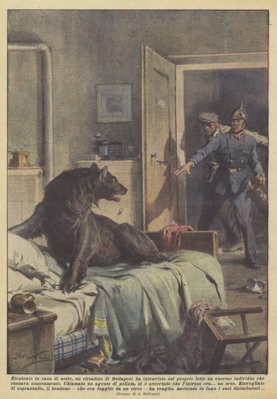 Bij thuiskomst 