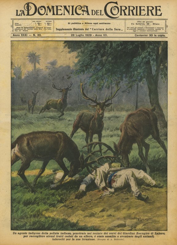 Een inheemse politieagent in India drong het hertenkamp van de dierentuin binnen door Achille Beltrame