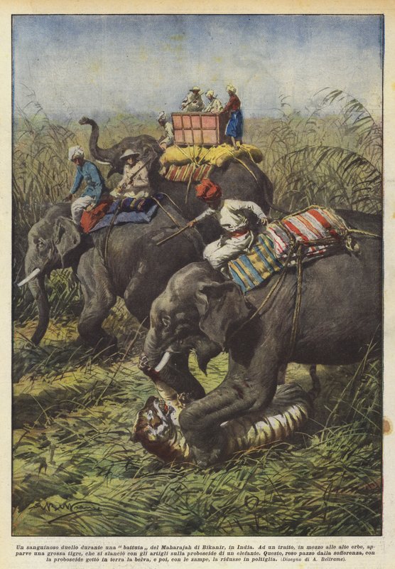 Een bloedig duel tijdens een jachtpartij van de Maharadja van Bikanir, India door Achille Beltrame