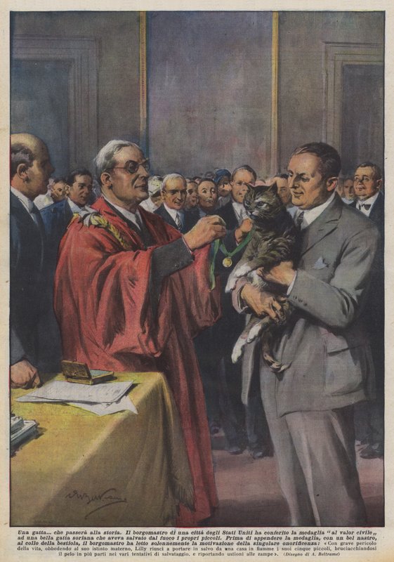Een kat die de geschiedenis in zal gaan door Achille Beltrame