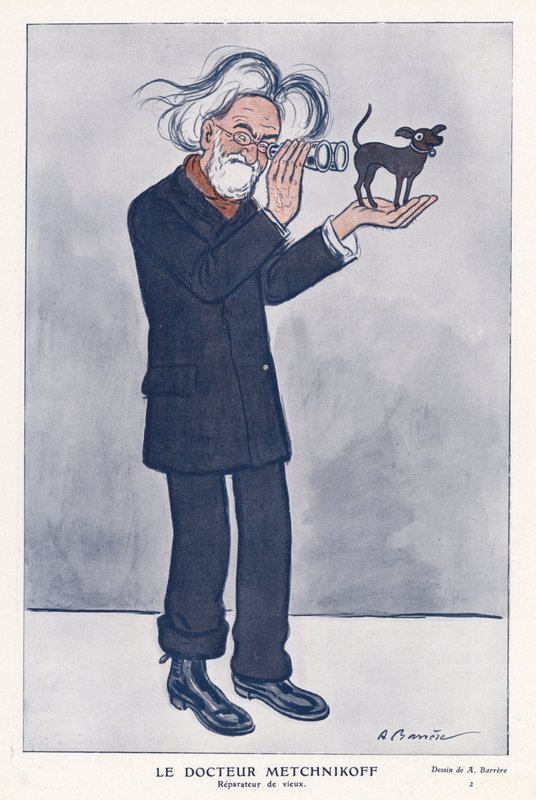 Elie Metchnikoff, Russische zoöloog door Adrien Barrere