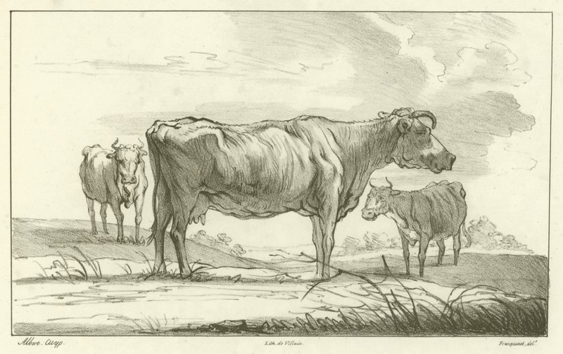 Drie koeien door Aelbert Cuyp